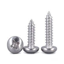 304L 316 410 Stainless Steel Phillips Recess Pan Head Self Tapping Screw